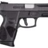 Taurus G3c 9mm Pistol with Viridian Laser and Uncle Mikes Holster 2 A10 result