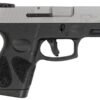 Taurus G3 9mm Pistol with Matte Stainless Slide and Tan Frame