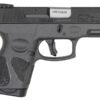 Taurus G3 9mm Striker-Fired Pistol with Gray Frame 2 Taurus G3
